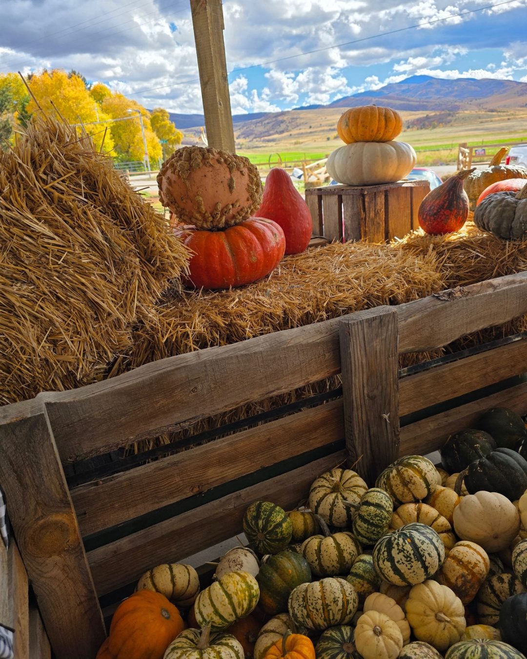 Utah Market Update